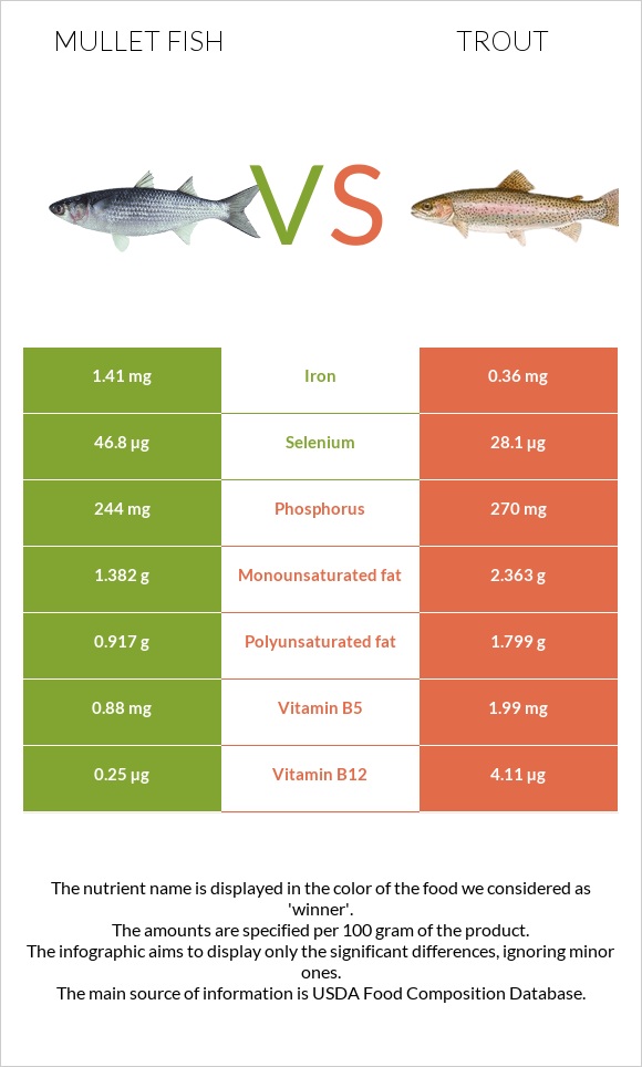 Mullet fish vs Trout infographic