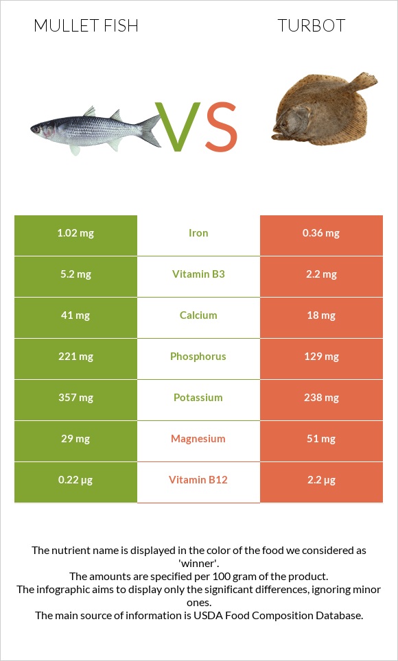 Mullet fish vs Turbot infographic