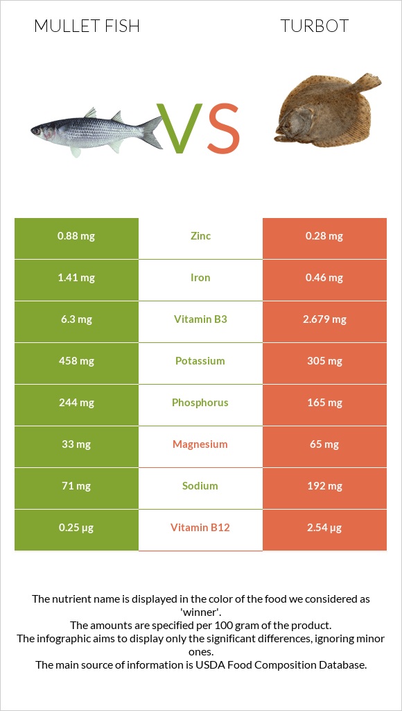 Mullet fish vs Turbot infographic