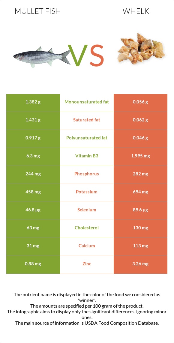 Mullet fish vs Whelk infographic