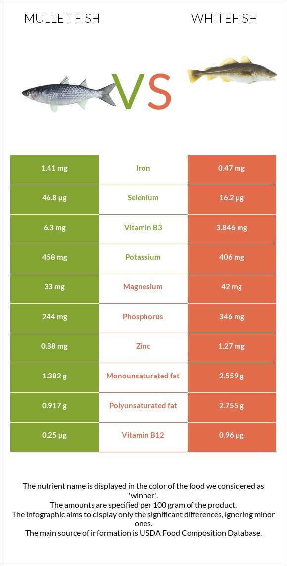 Mullet fish vs Whitefish infographic