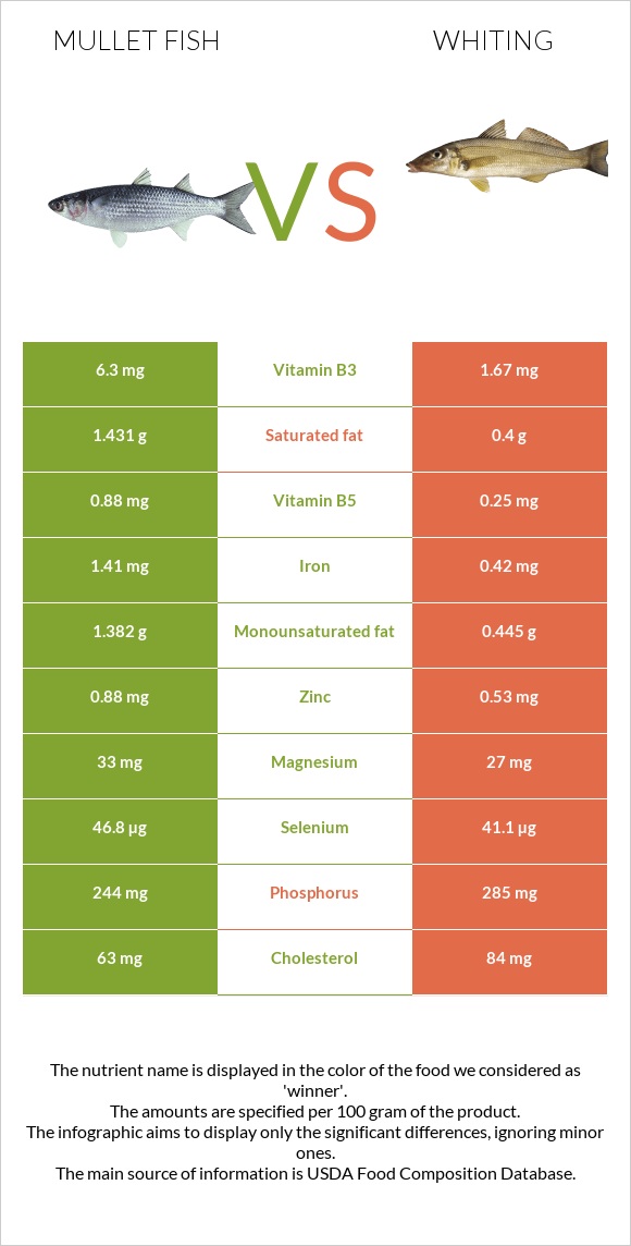 Mullet fish vs Whiting infographic