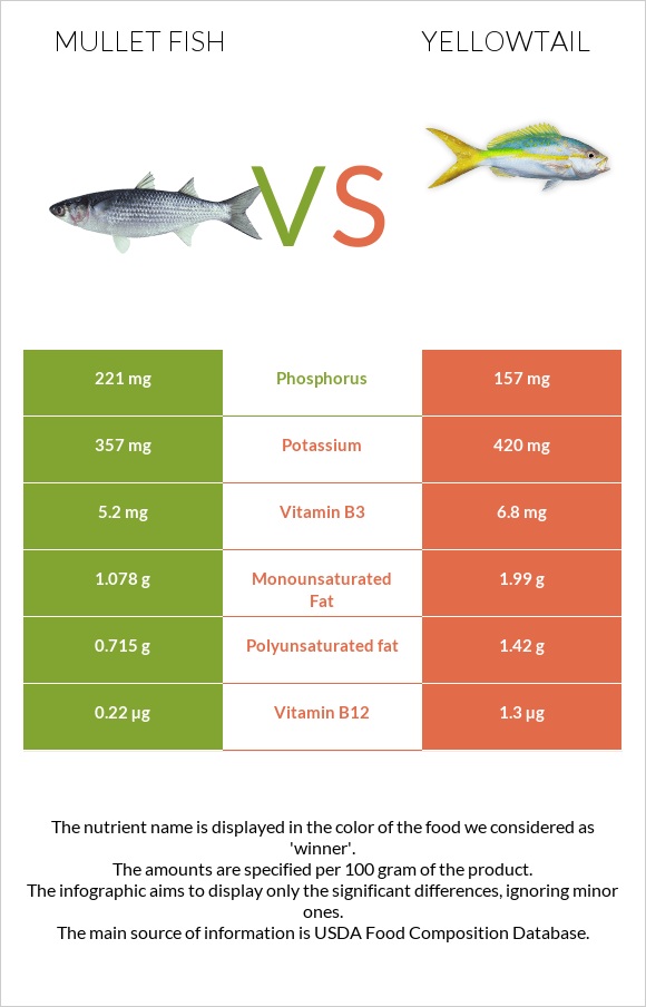 Mullet fish vs Yellowtail infographic