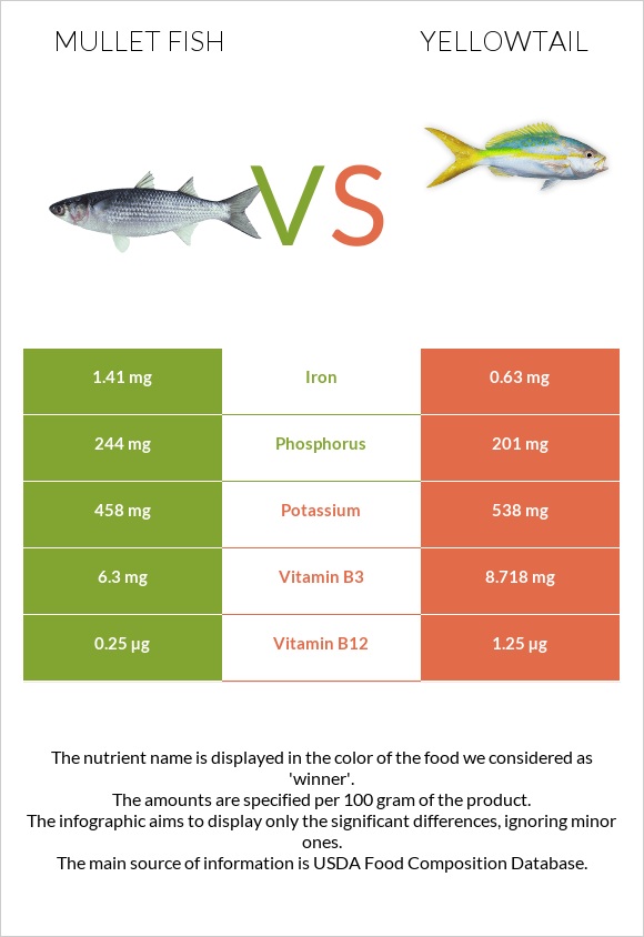 Mullet fish vs Yellowtail infographic