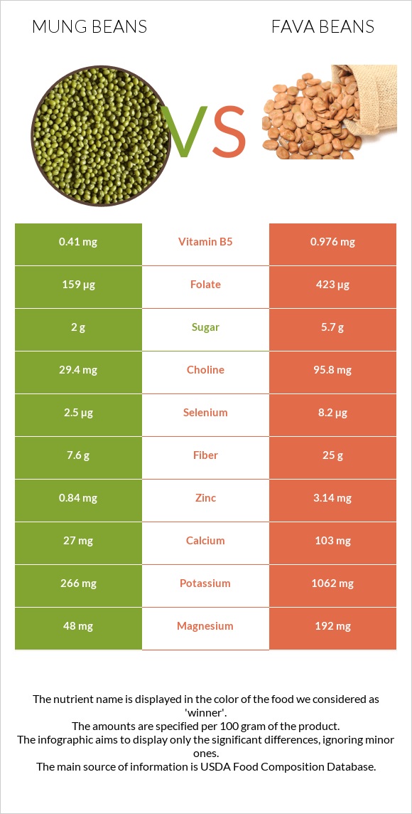Mung beans vs Fava beans infographic