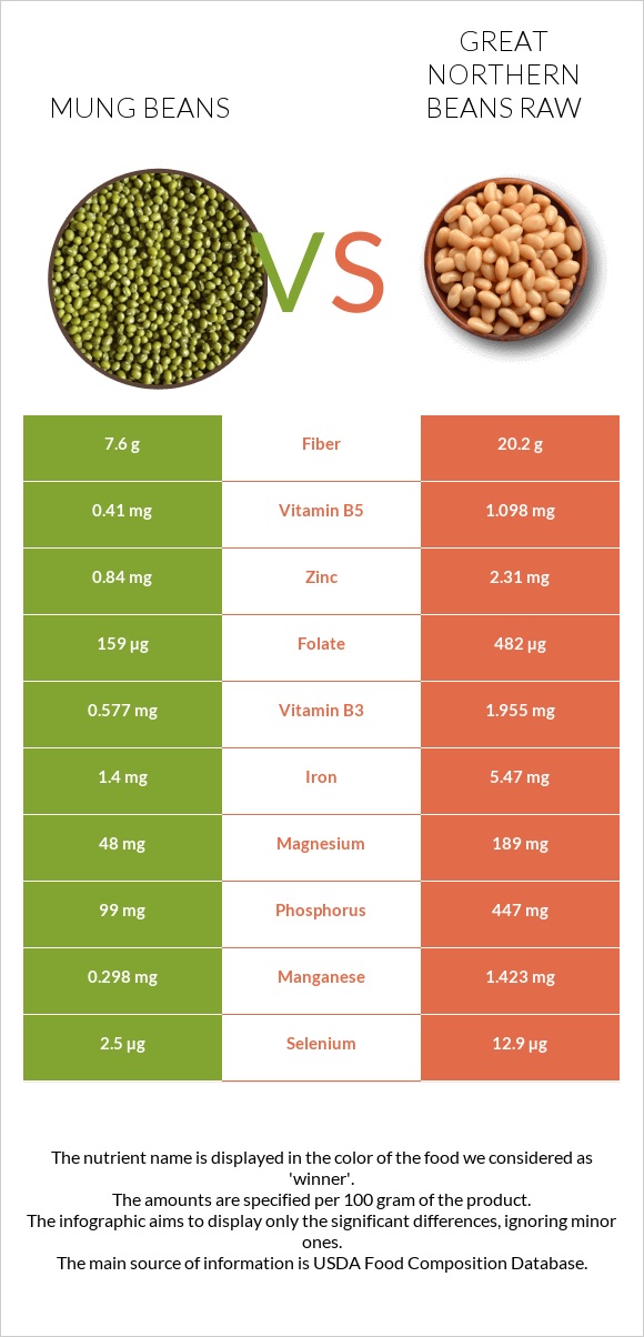 Mung beans vs Great northern beans raw infographic