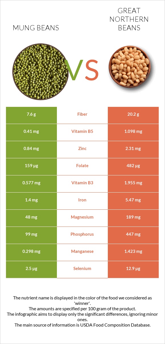 Mung beans vs Great northern beans infographic