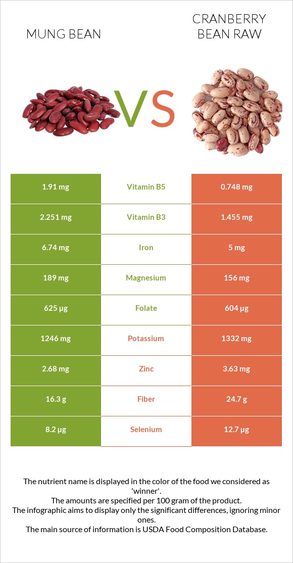 Mung bean vs Cranberry bean raw infographic