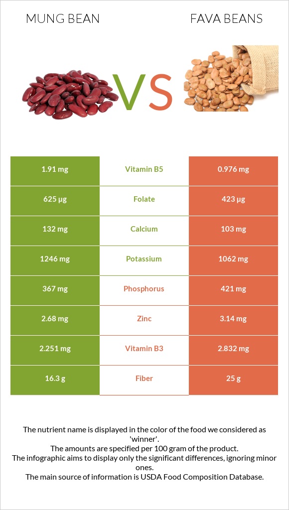 Լոբի մունգ vs Fava beans infographic