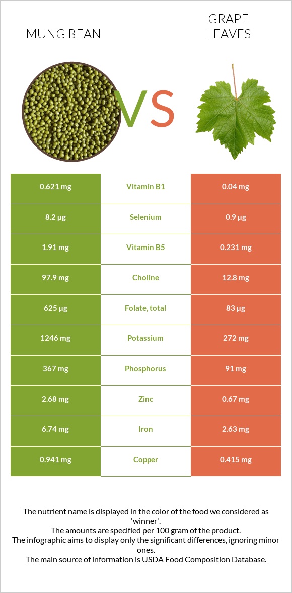 Լոբի մունգ vs Խաղողի թուփ infographic