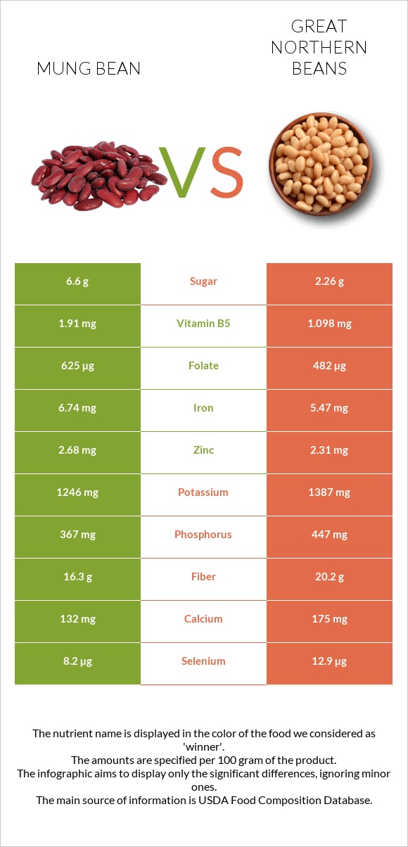 Mung bean vs Great northern beans infographic