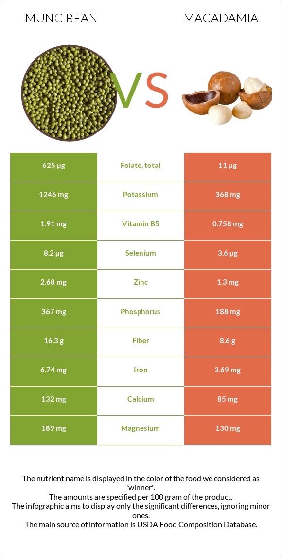 Լոբի մունգ vs Մակադամիա infographic