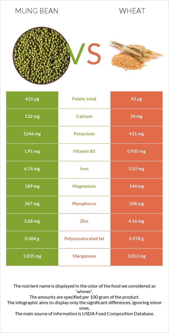 Mung bean vs Wheat  infographic