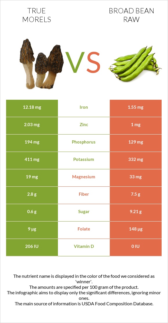 True morels vs Broad bean raw infographic