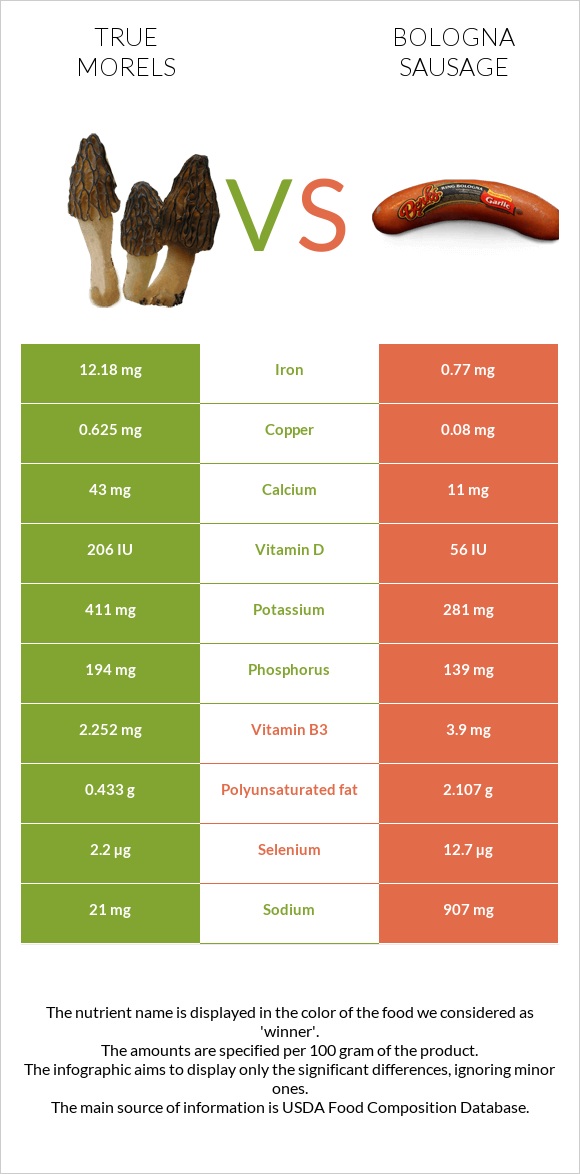 True morels vs Բոլոնիայի երշիկ infographic