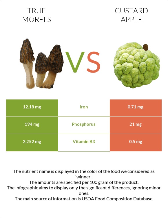 True morels vs Custard apple infographic