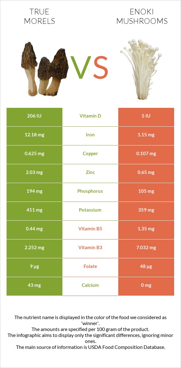 True morels vs Enoki mushrooms infographic