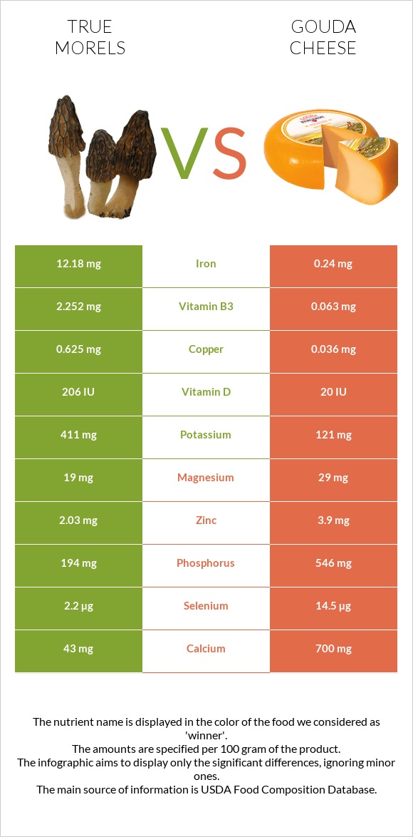 True morels vs Gouda cheese infographic