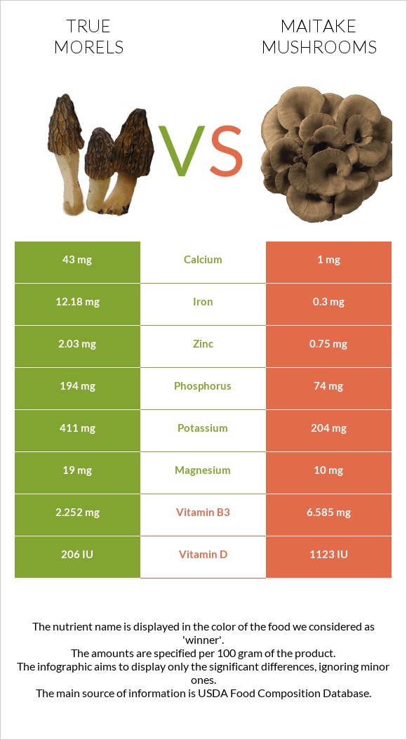 True morels vs Maitake mushrooms infographic