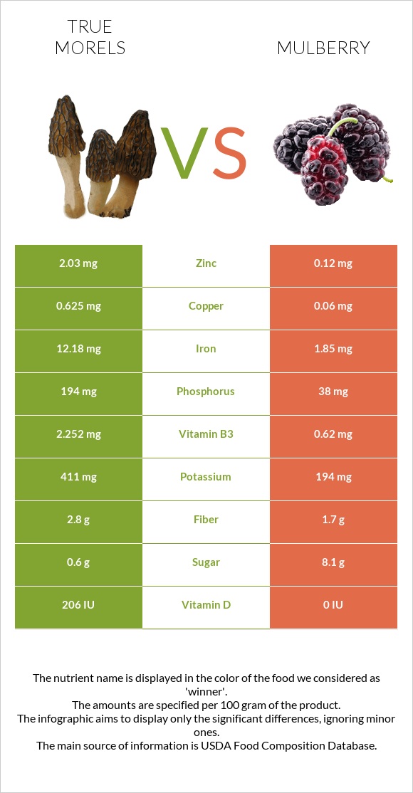 True morels vs Mulberry infographic