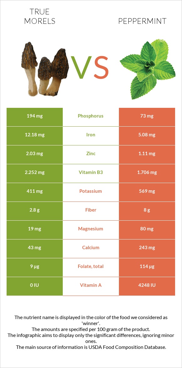 True morels vs Peppermint infographic