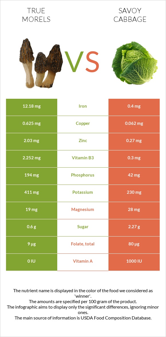 True morels vs Savoy cabbage infographic