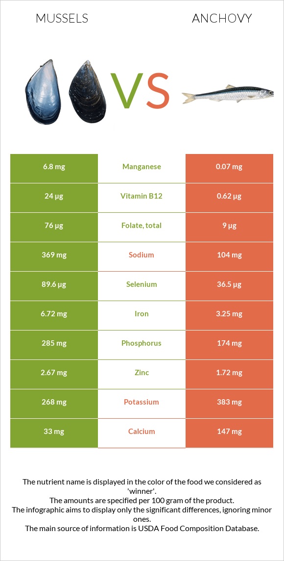 Mussels vs Anchovy infographic