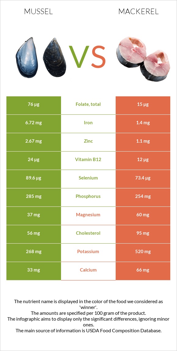 Mussel vs Mackerel infographic