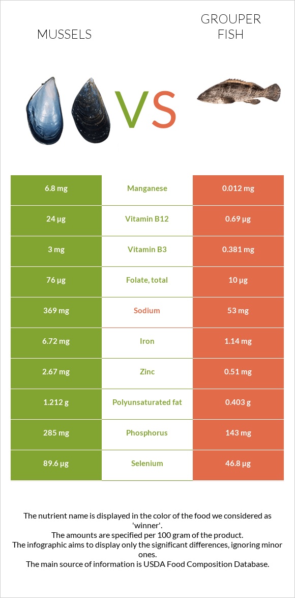 Միդիա vs Grouper fish infographic