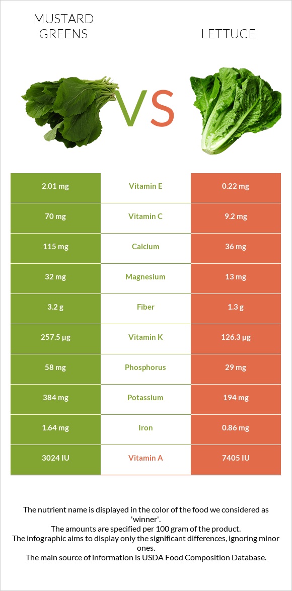 Mustard Greens vs Lettuce infographic
