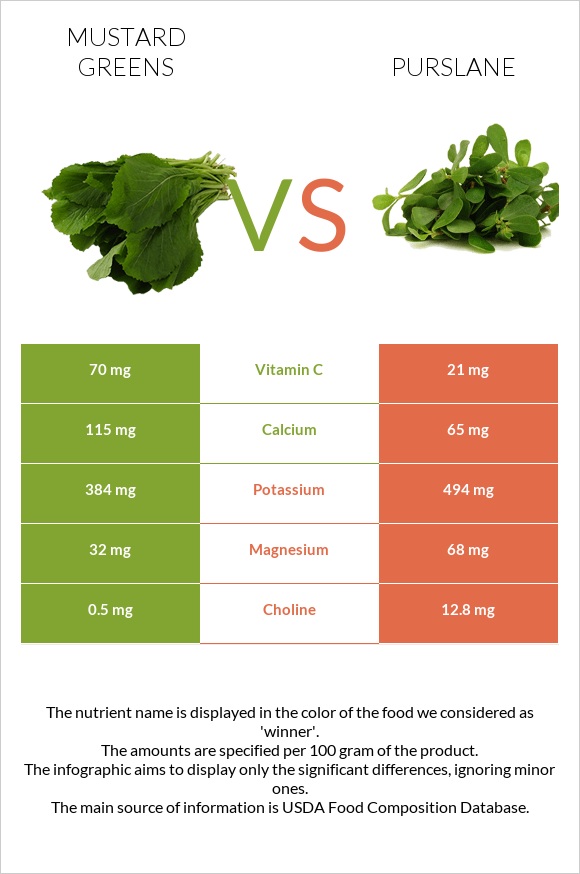 Mustard Greens vs Purslane infographic