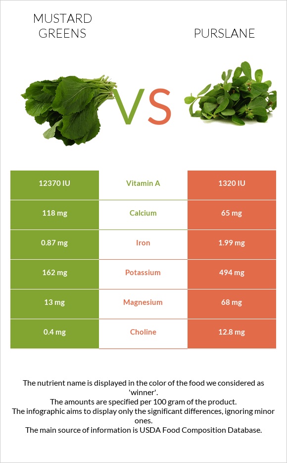 Mustard Greens vs Purslane infographic