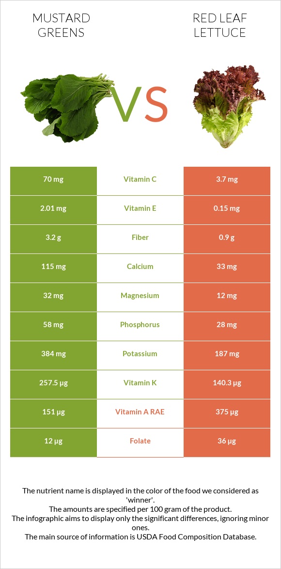 Mustard Greens vs Red leaf lettuce infographic