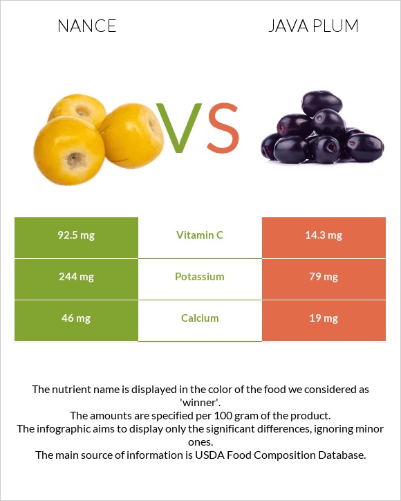 Նանս vs Java plum infographic