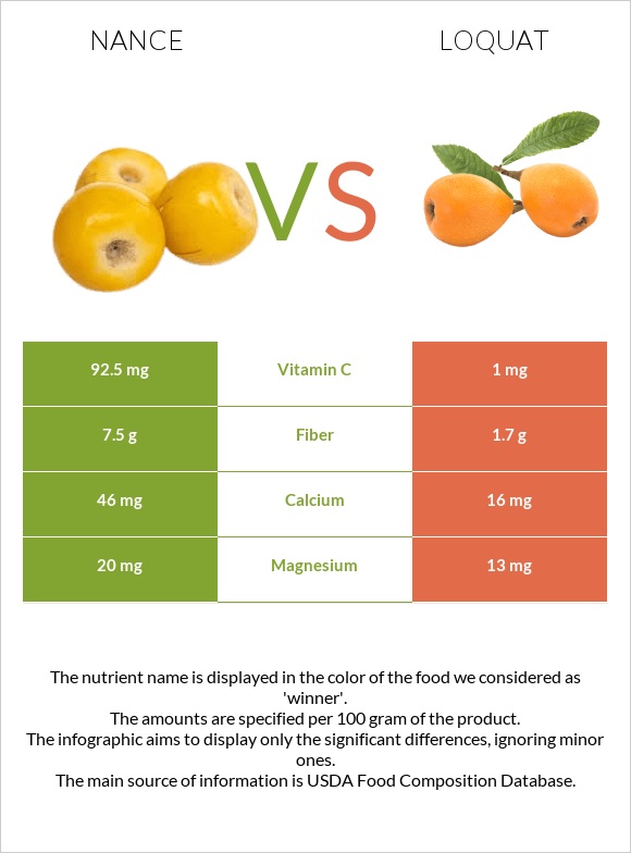 Նանս vs Loquat infographic