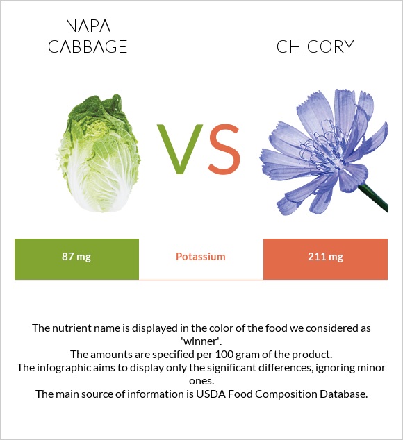 Napa cabbage vs Chicory infographic