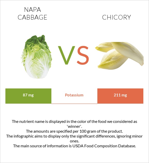 Napa cabbage vs Chicory infographic