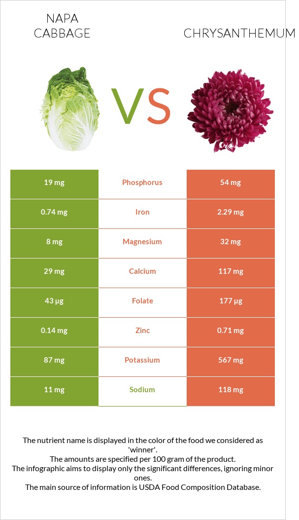 Napa cabbage vs Chrysanthemum infographic