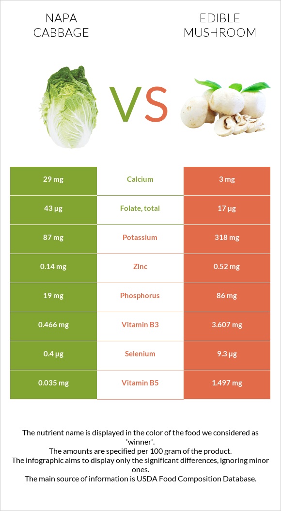 Napa cabbage vs Edible mushroom infographic