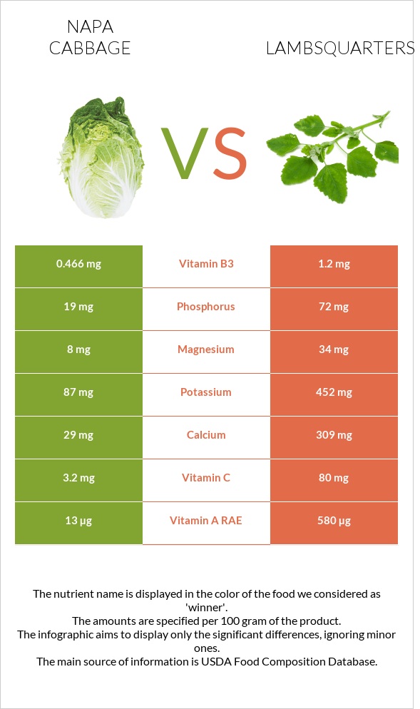 Napa cabbage vs Lambsquarters infographic