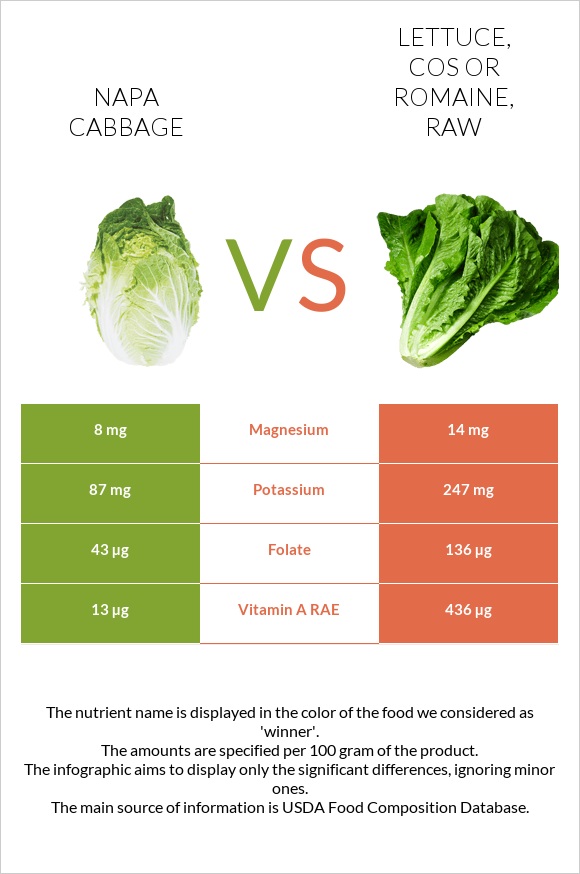 Napa cabbage vs Lettuce, cos or romaine, raw infographic