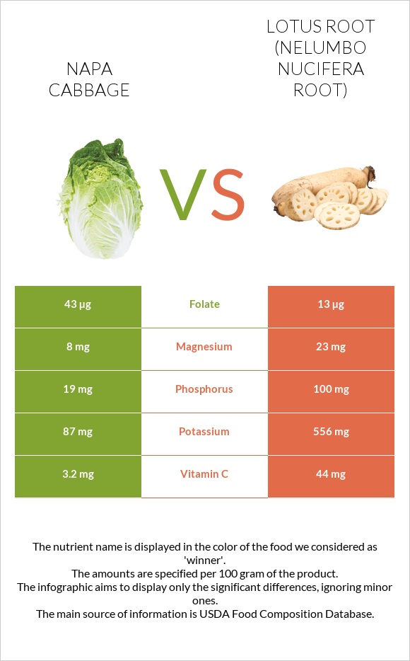 Napa cabbage vs Lotus root infographic