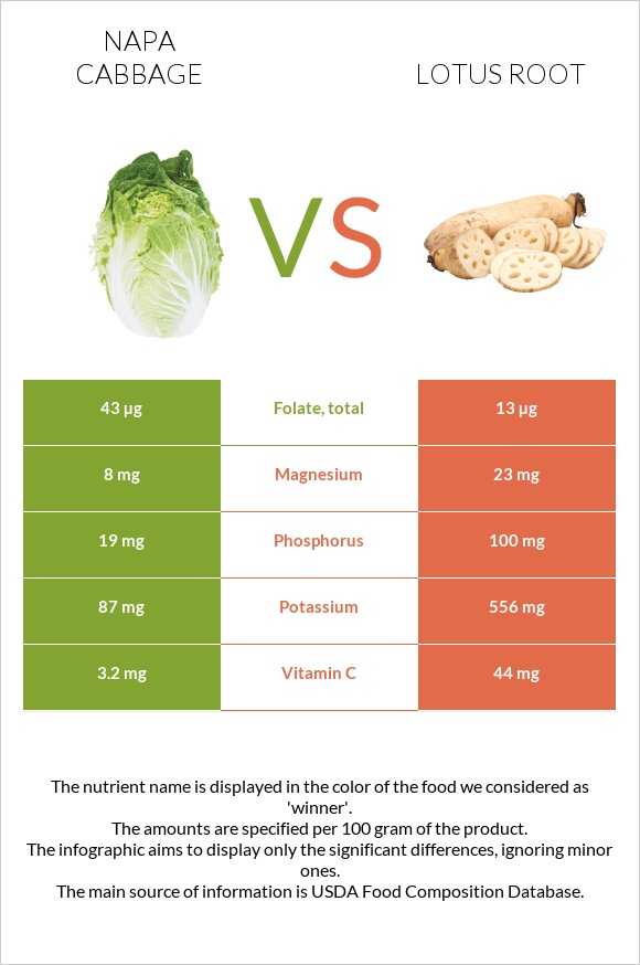 Napa cabbage vs Lotus root infographic