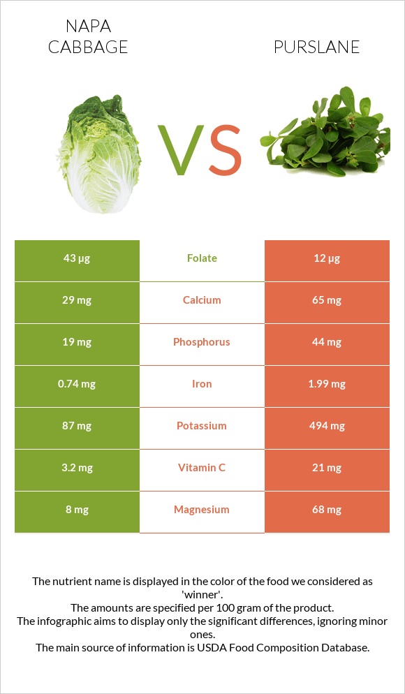 Napa cabbage vs Purslane infographic