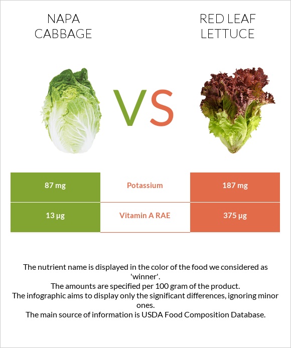 Napa cabbage vs Red leaf lettuce infographic