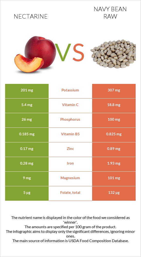 Nectarine vs Navy bean raw infographic