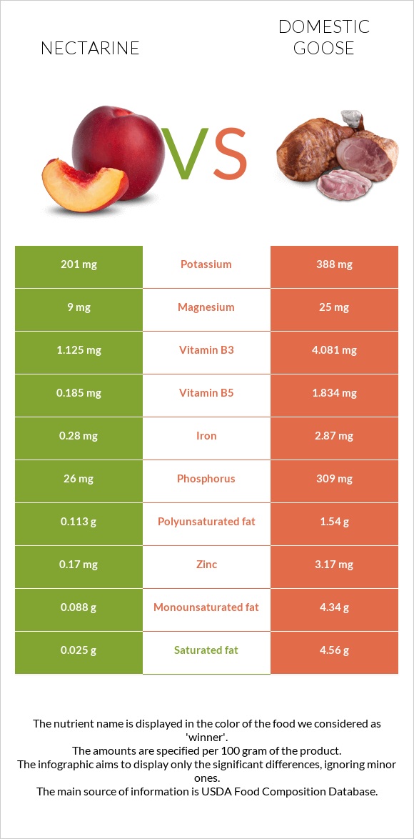 Nectarine vs Domestic goose infographic