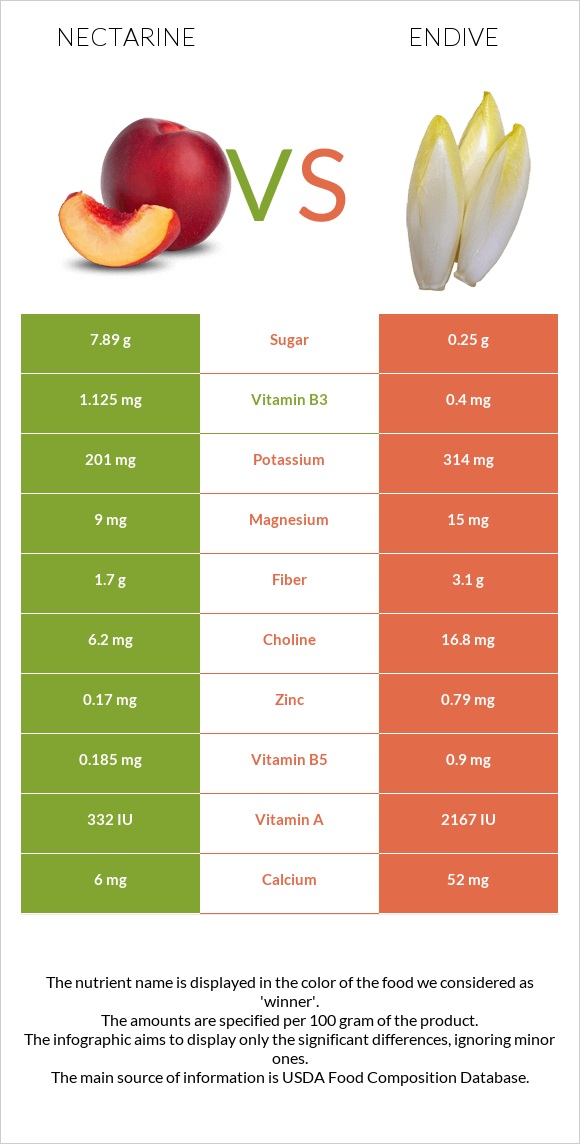 Nectarine vs Endive infographic