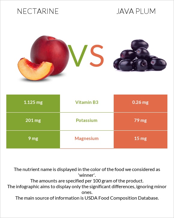 Nectarine vs Java plum infographic