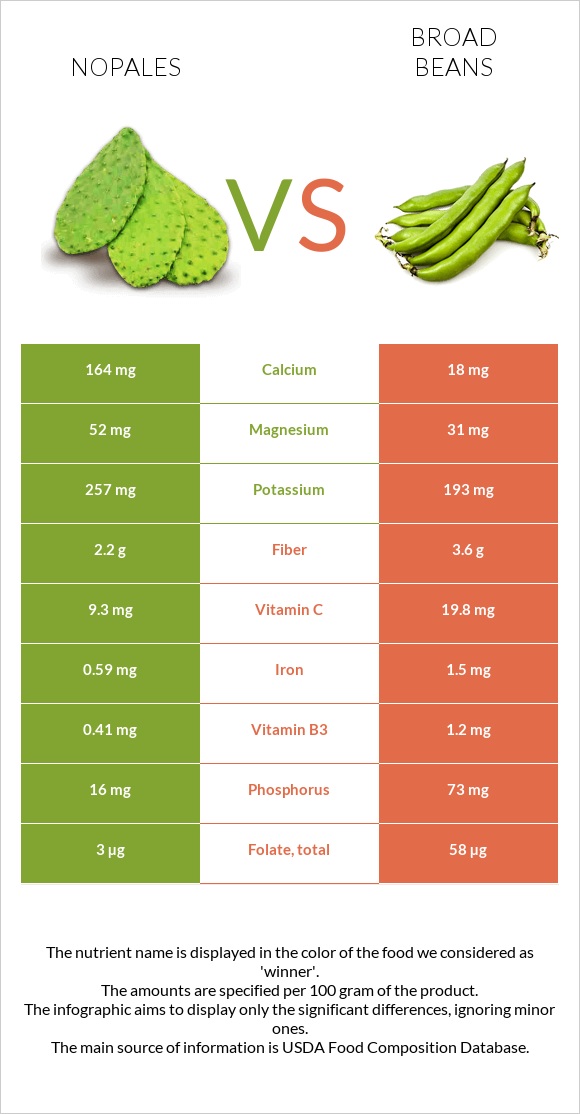 Nopales vs Broad bean infographic